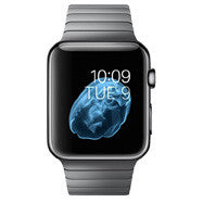 Apple Watch 42mm (Series 1)