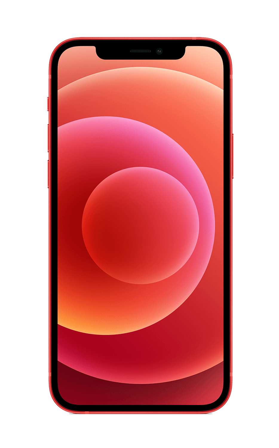 iPhone 12 2020 (6.1)