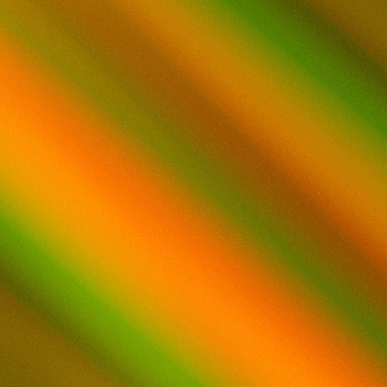 [2 Pack] Armorsuit MilitaryShield Vinyl Skin Wrap Film for Google Pixel 9 Pro Fold